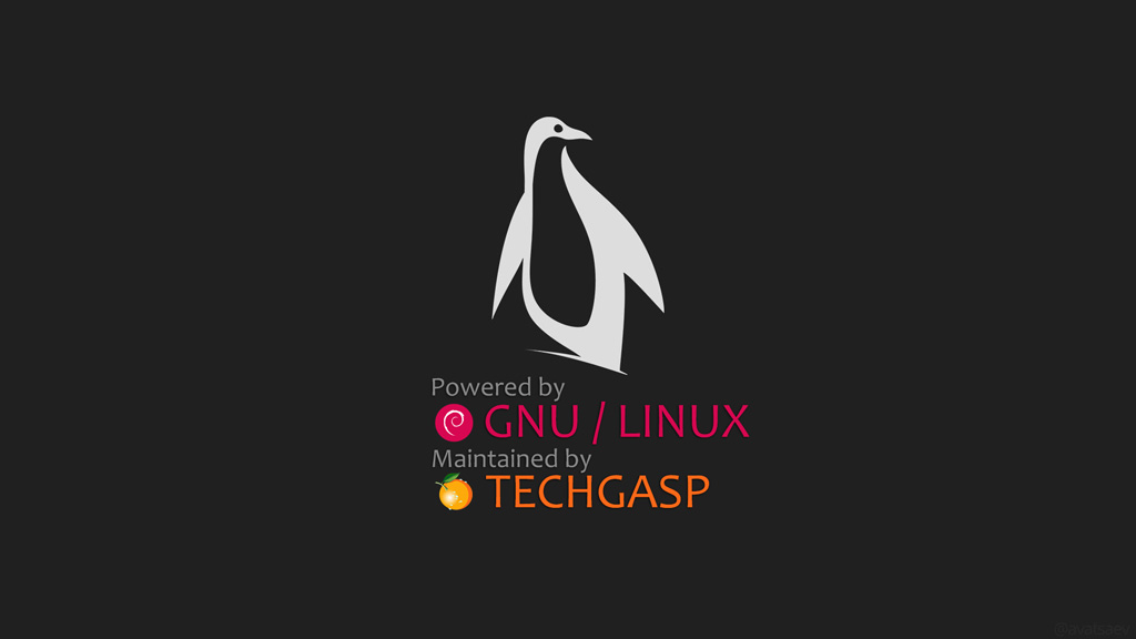 TechGasp Linux Outsourcing
