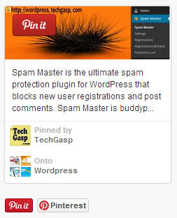 Pinterest Master Widget showing TechGasp Top Pin