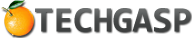 TechGasp Wordrpess Logo