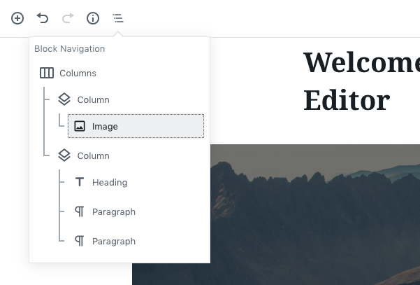 Techgasp Gutenberg Editor