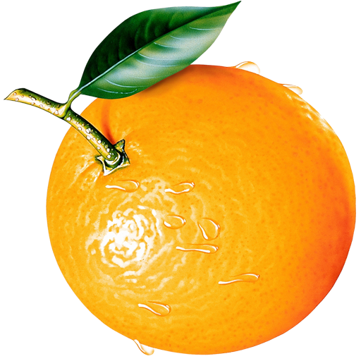 TechGasp Favicon 512